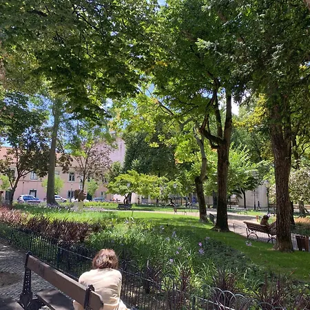 Lv Premier Amoreiras Am3 Lizbona